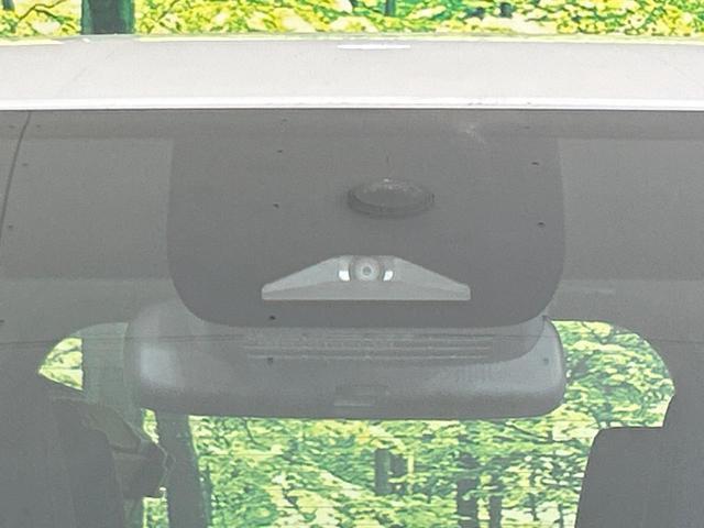 23207741_carP_l_14.jpg