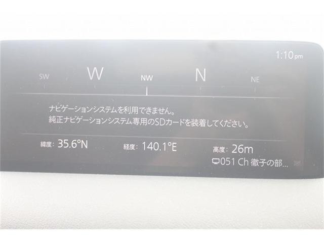 24455611_carP_l_15.jpg