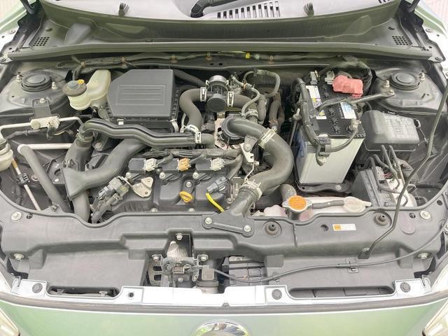 26688568_carP_l_12.jpg