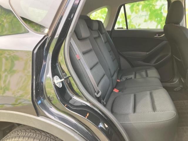 26017064_carP_l_10.jpg