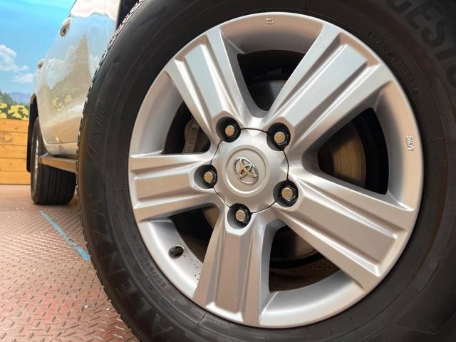 24319985_carP_l_8.jpg