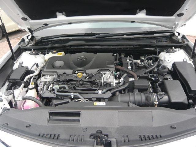24576586_carP_l_5.jpg