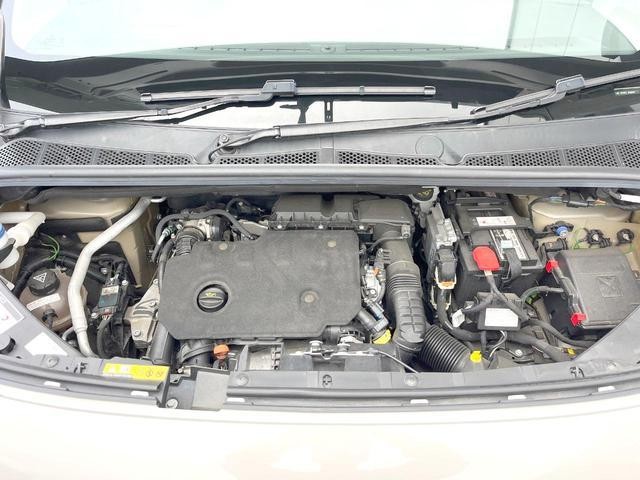 24133498_carP_l_18.jpg
