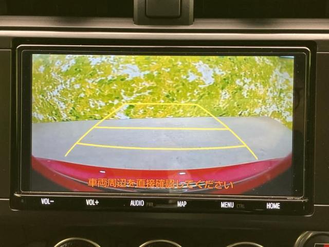 21904092_carP_l_8.jpg