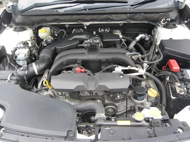 23979972_carP_l_5.jpg