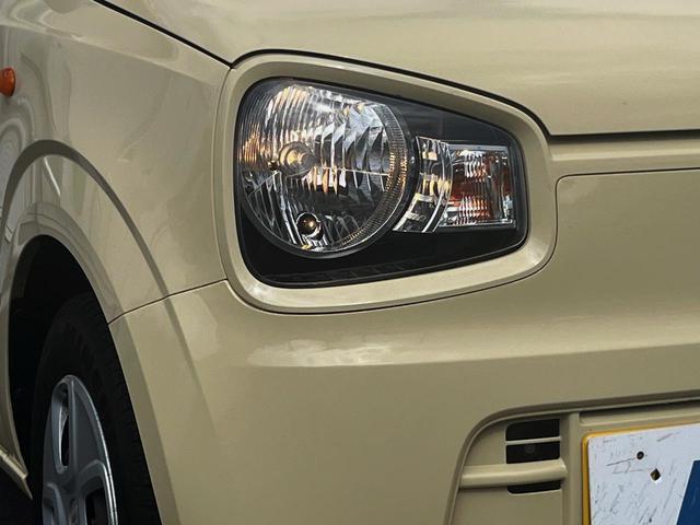22975404_carP_l_7.jpg