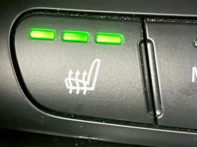 23530176_carP_l_14.jpg