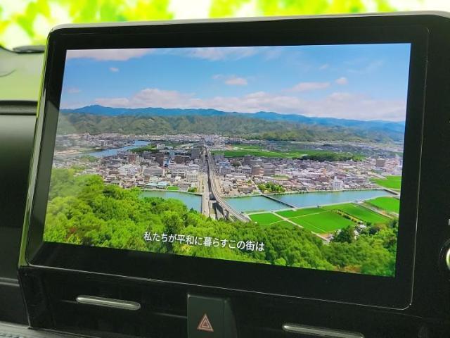 22229128_carP_l_7.jpg