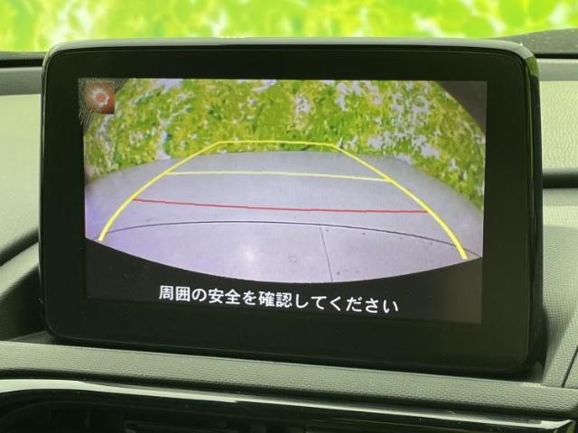 25542443_carP_l_6.jpg