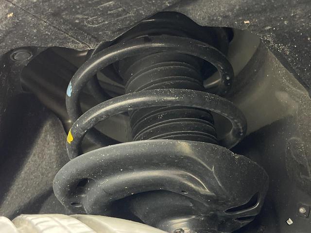 24051248_carP_l_20.jpg