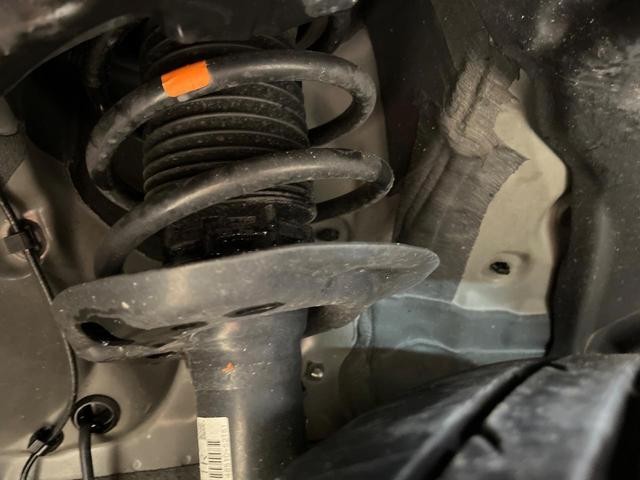 20159382_carP_l_20.jpg