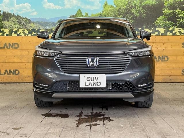 24400868_carP_l_9.jpg