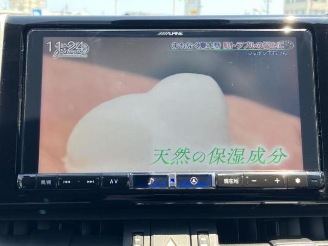 24486687_carP_l_5.jpg