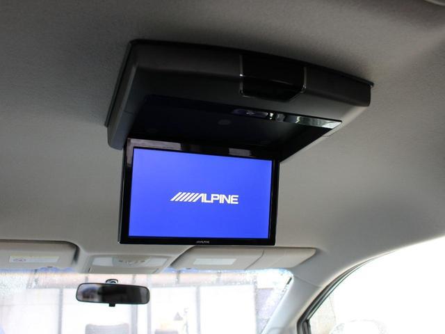 0520046A30260221W01113.jpg