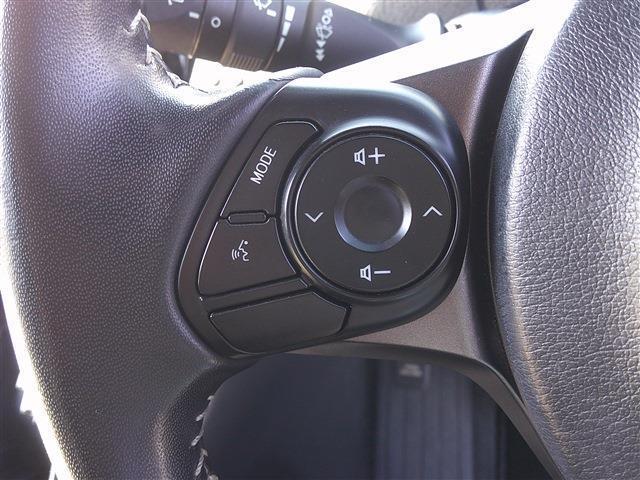 22980471_carP_l_12.jpg
