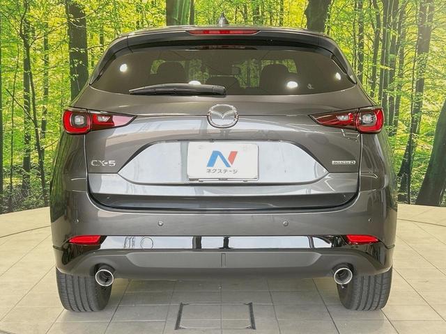 23715915_carP_l_20.jpg