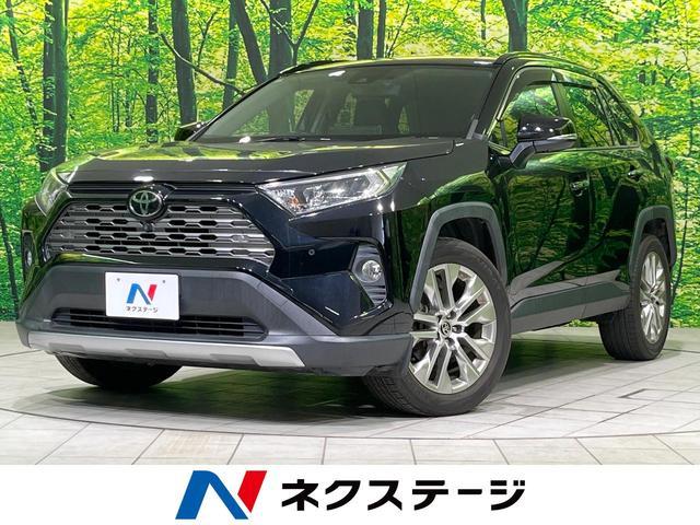 26023118_carP_l_1.jpg