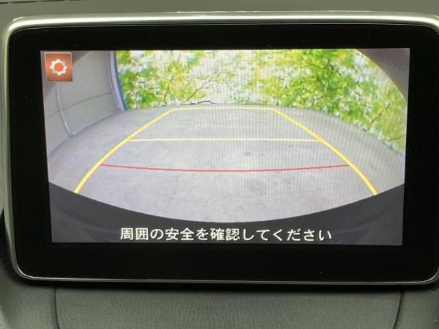22831783_carP_l_7.jpg