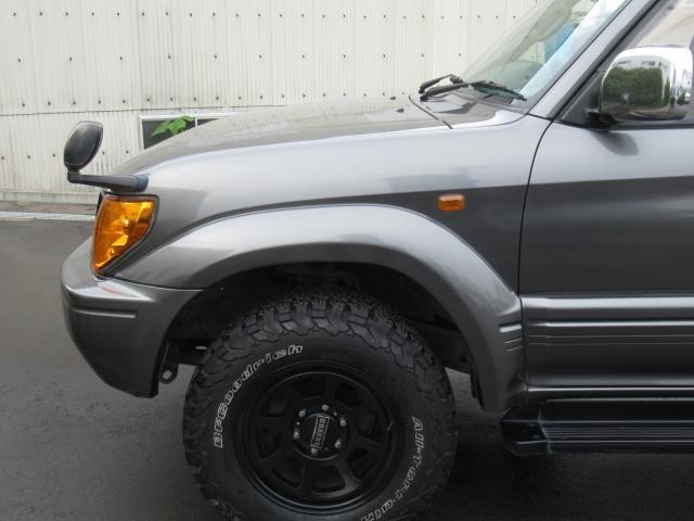 24341224_carP_l_20.jpg