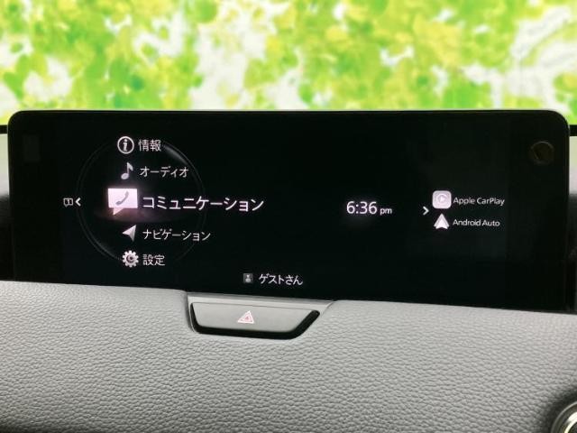 24913096_carP_l_19.jpg