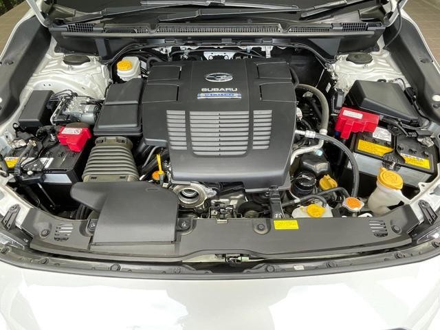 24200049_carP_l_12.jpg