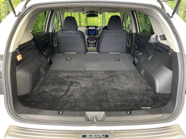 24200049_carP_l_2.jpg