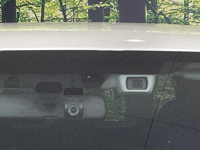24200049_carP_l_20.jpg