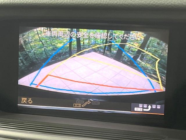 22956858_carP_l_10.jpg