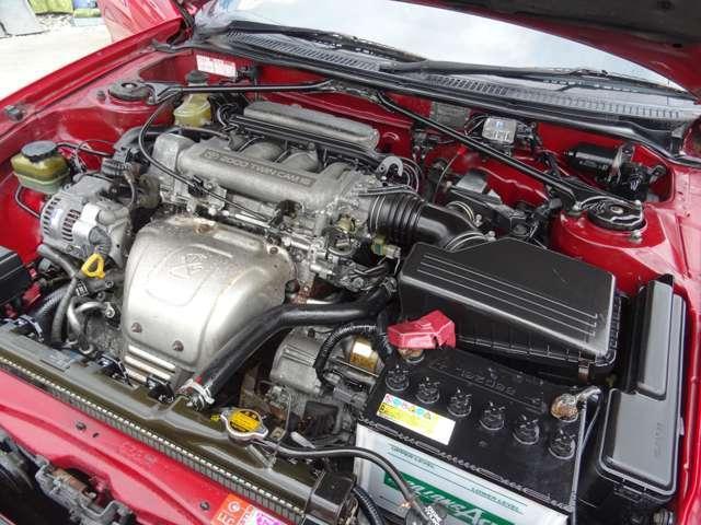 17948823_carP_l_9.jpg