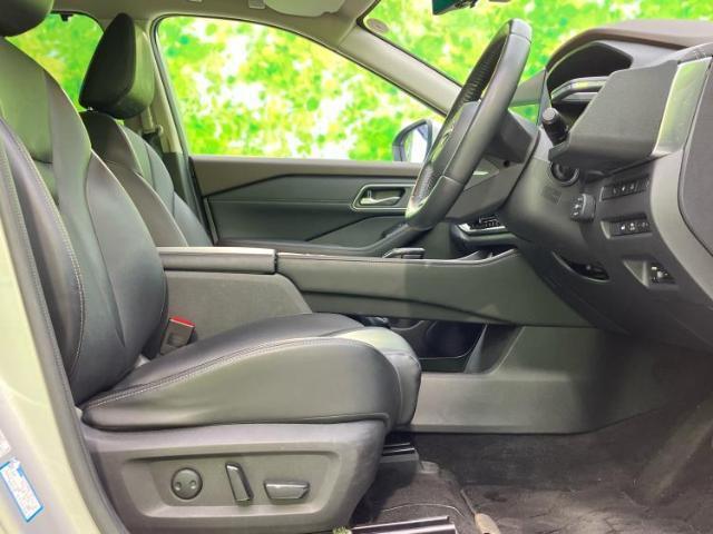 22733145_carP_l_4.jpg