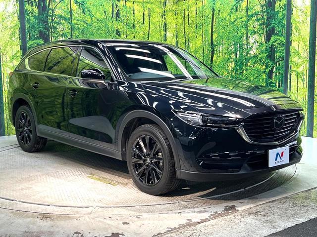 22639105_carP_l_12.jpg