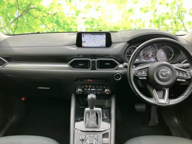 23510760_carP_l_4.jpg