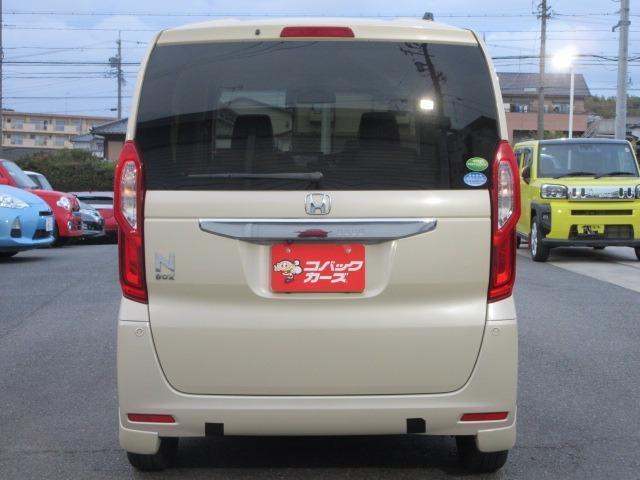 23088328_carP_l_14.jpg