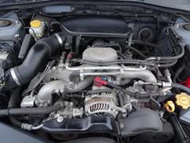 17948837_carP_l_16.jpg