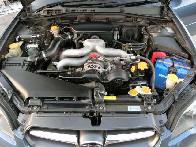 17948851_carP_l_11.jpg