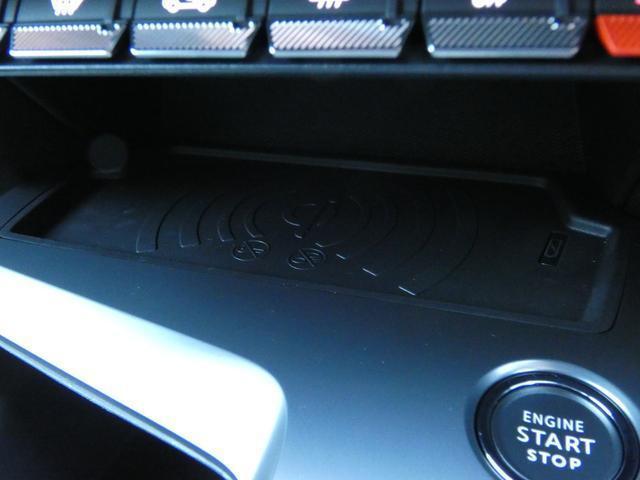 21709712_carP_l_18.jpg