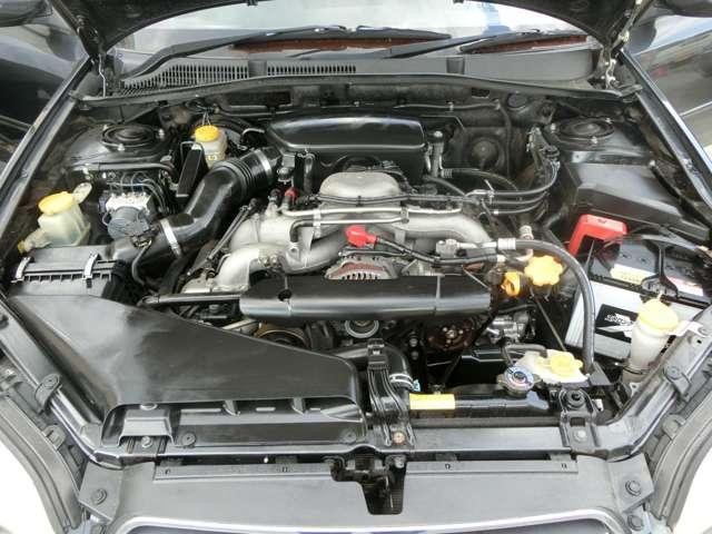 17948853_carP_l_9.jpg