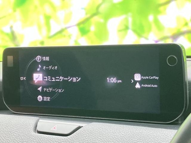 21990215_carP_l_2.jpg