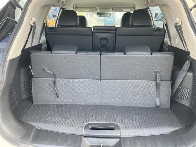 21933155_carP_l_17.jpg