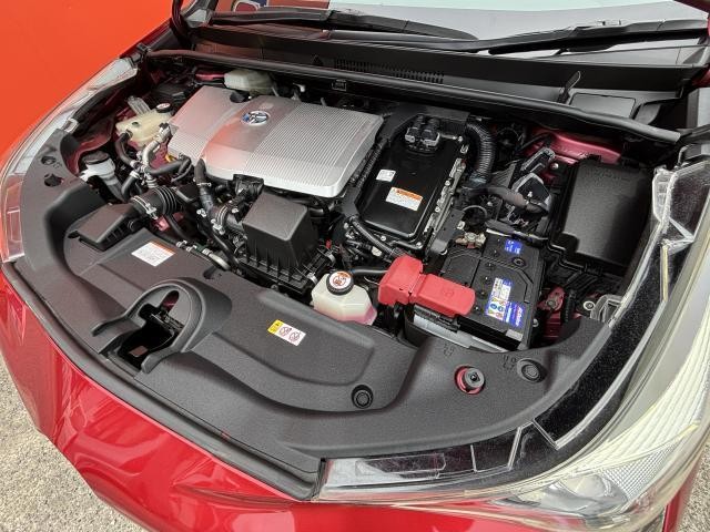 25522649_carP_l_17.jpg