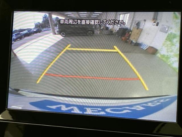 22137841_carP_l_7.jpg