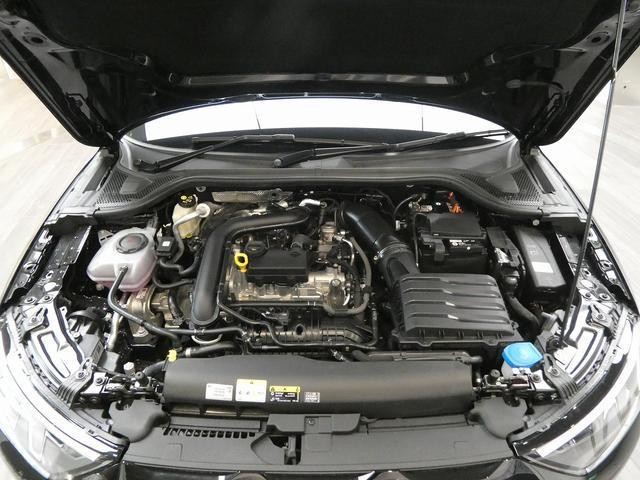 24803390_carP_l_5.jpg