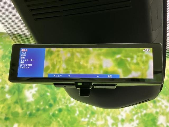 23521304_carP_l_12.jpg