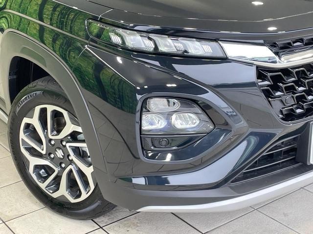 24932988_carP_l_6.jpg