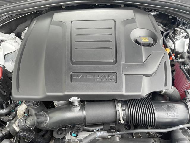22429526_carP_l_20.jpg