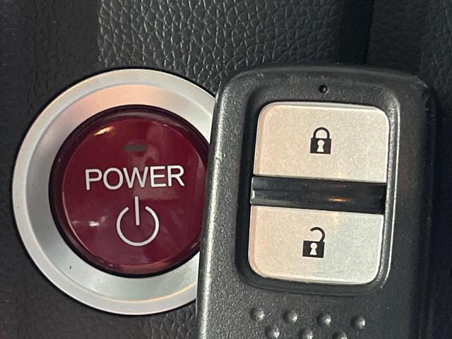 23074515_carP_l_14.jpg