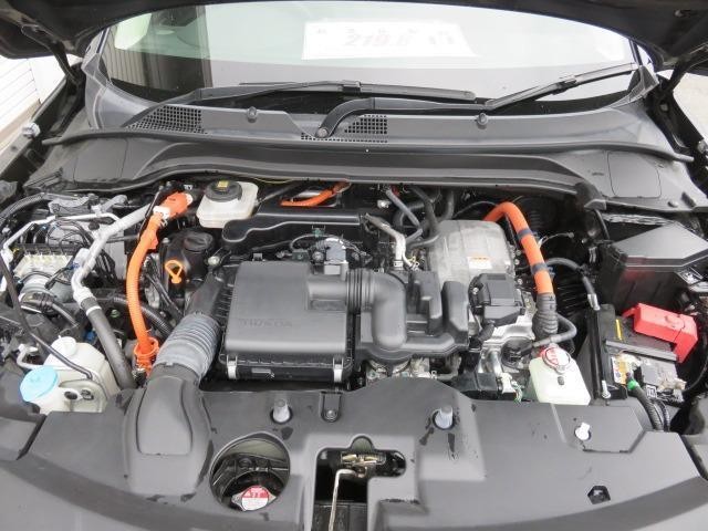 24762146_carP_l_5.jpg