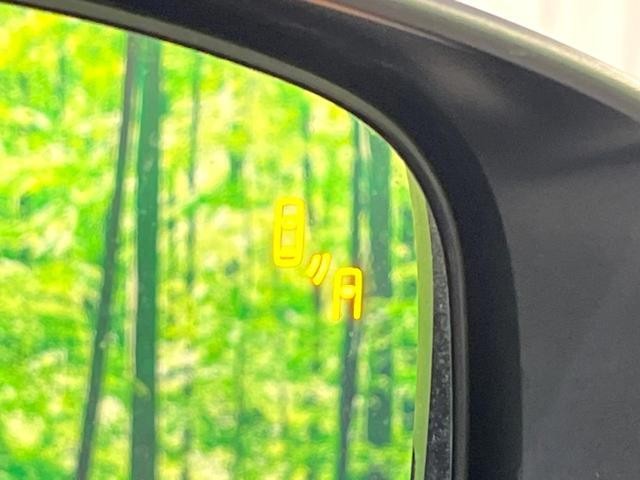26623459_carP_l_10.jpg