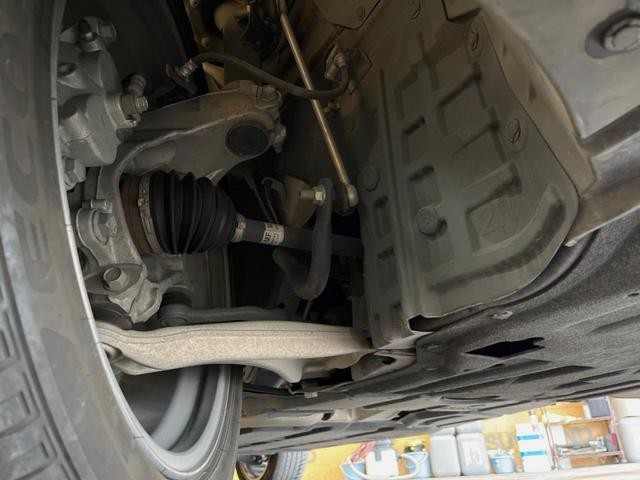 24481264_carP_l_20.jpg