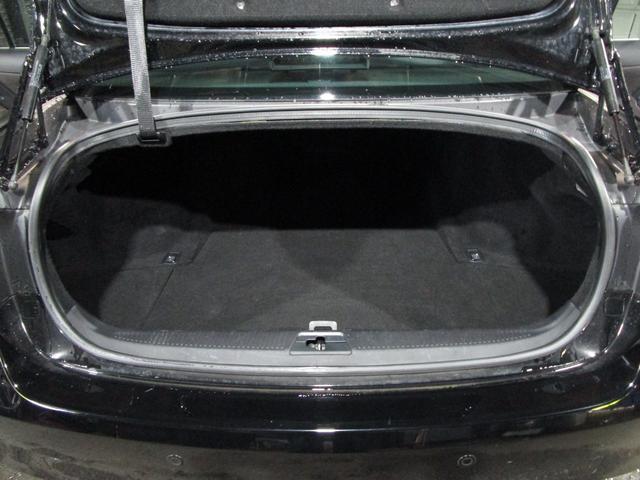 23391293_carP_l_9.jpg